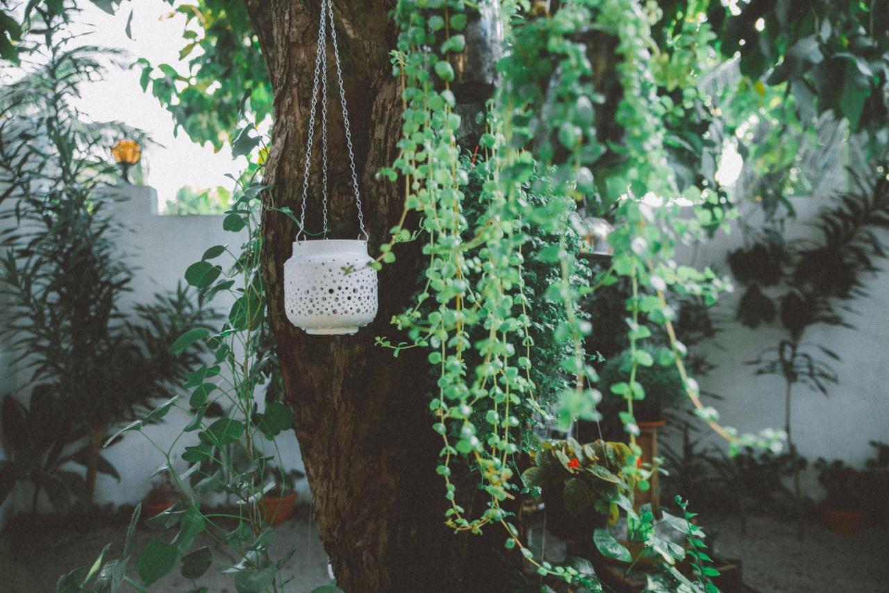 Midsummer Thulusdhoo Bagian luar foto